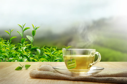 A tea you must drink everyday: Green Tea
