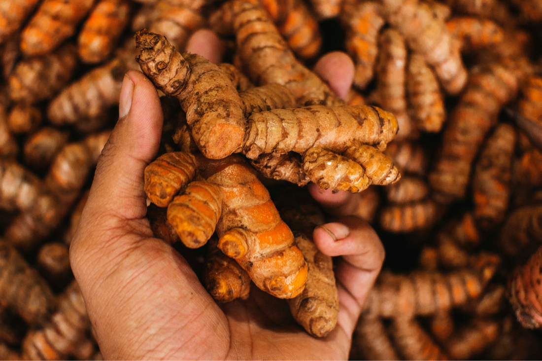 What are the benefits of Turmeric?