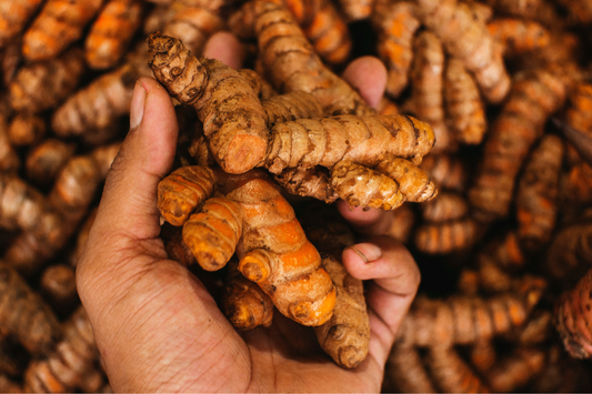 What are the benefits of Turmeric?