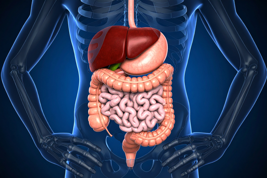 Plants that are natural remedies for Constipation!